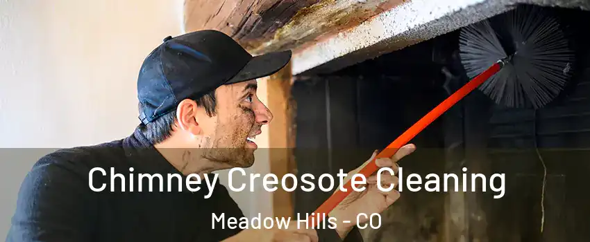 Chimney Creosote Cleaning Meadow Hills - CO