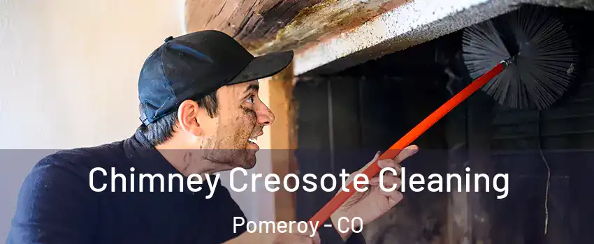 Chimney Creosote Cleaning Pomeroy - CO