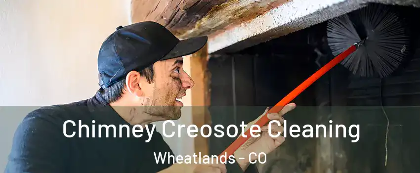 Chimney Creosote Cleaning Wheatlands - CO