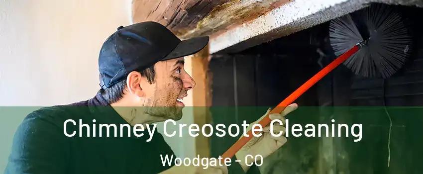 Chimney Creosote Cleaning Woodgate - CO