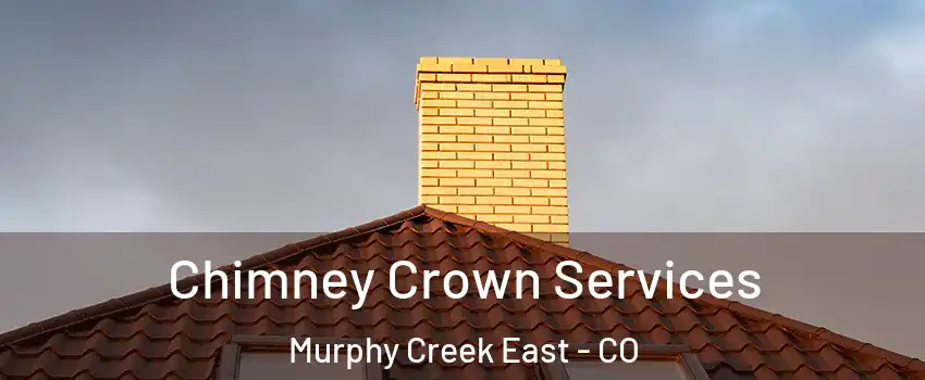 Chimney Crown Services Murphy Creek East - CO