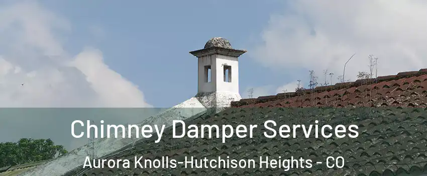 Chimney Damper Services Aurora Knolls-Hutchison Heights - CO