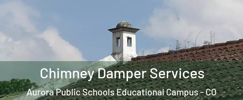 Chimney Damper Services Aurora Public Schools Educational Campus - CO