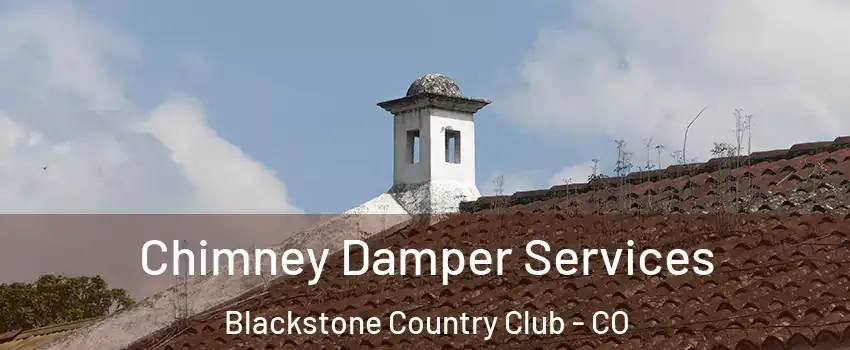 Chimney Damper Services Blackstone Country Club - CO