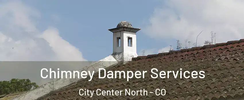 Chimney Damper Services City Center North - CO