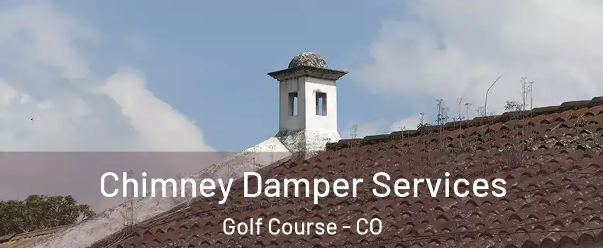 Chimney Damper Services Golf Course - CO