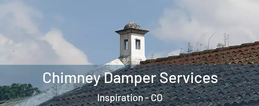 Chimney Damper Services Inspiration - CO