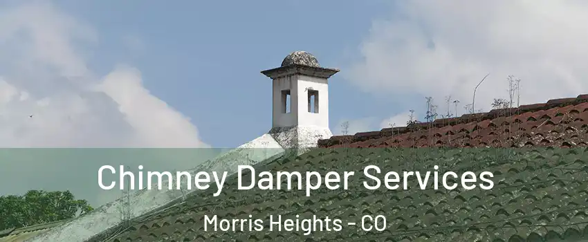 Chimney Damper Services Morris Heights - CO