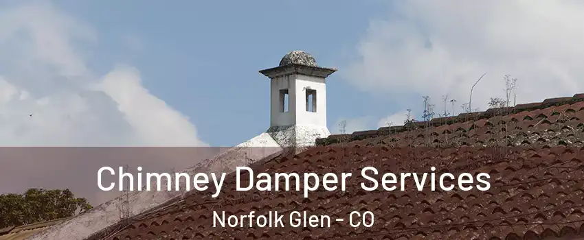 Chimney Damper Services Norfolk Glen - CO