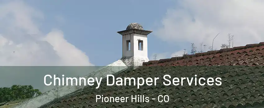 Chimney Damper Services Pioneer Hills - CO