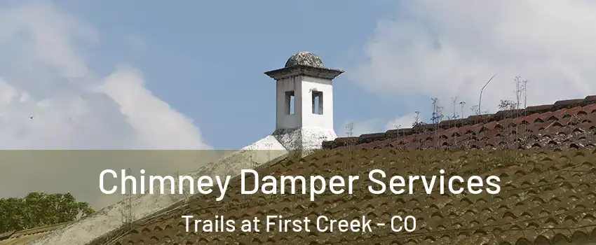 Chimney Damper Services Trails at First Creek - CO