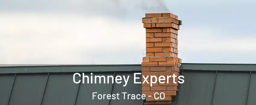 Chimney Experts Forest Trace - CO