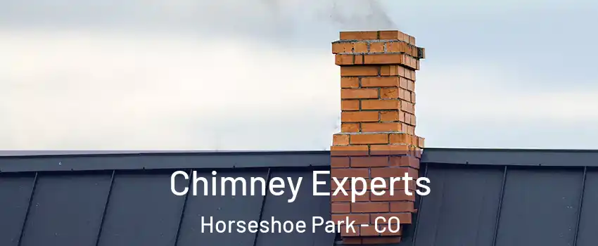 Chimney Experts Horseshoe Park - CO