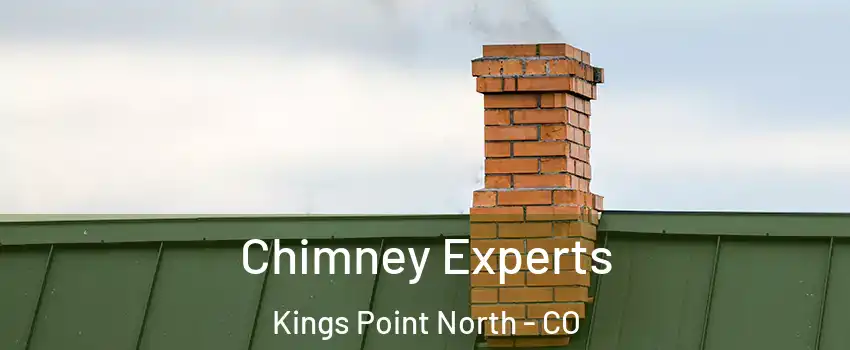 Chimney Experts Kings Point North - CO