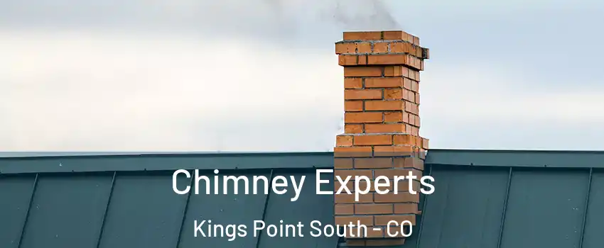 Chimney Experts Kings Point South - CO