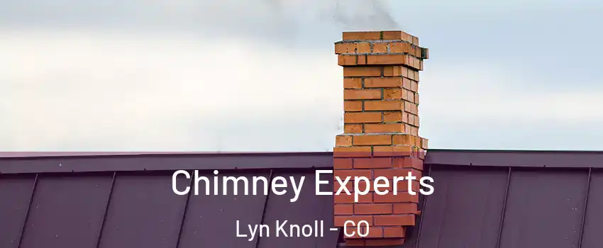 Chimney Experts Lyn Knoll - CO