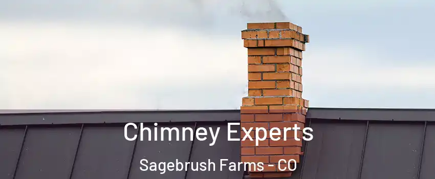 Chimney Experts Sagebrush Farms - CO