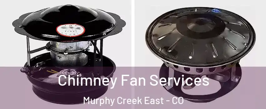 Chimney Fan Services Murphy Creek East - CO