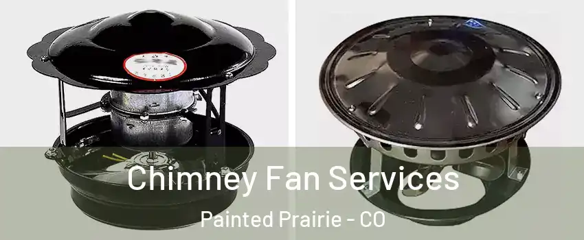 Chimney Fan Services Painted Prairie - CO