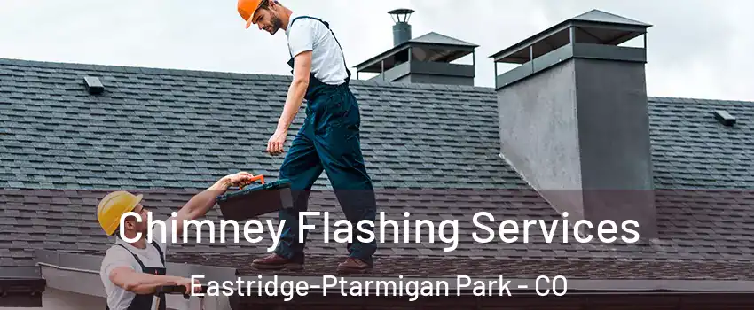 Chimney Flashing Services Eastridge-Ptarmigan Park - CO