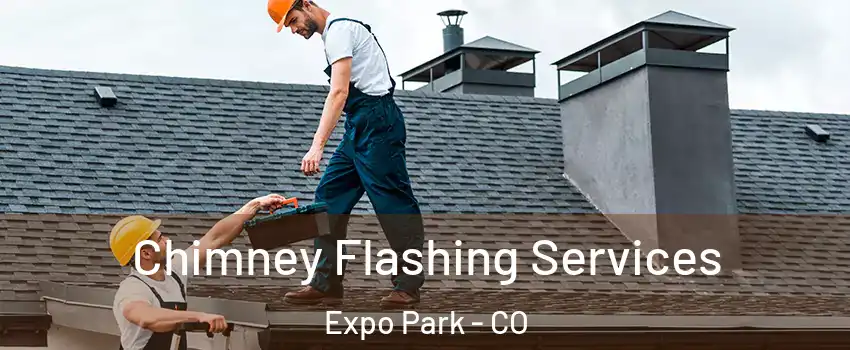 Chimney Flashing Services Expo Park - CO