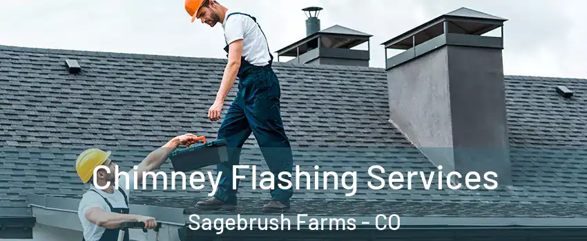 Chimney Flashing Services Sagebrush Farms - CO