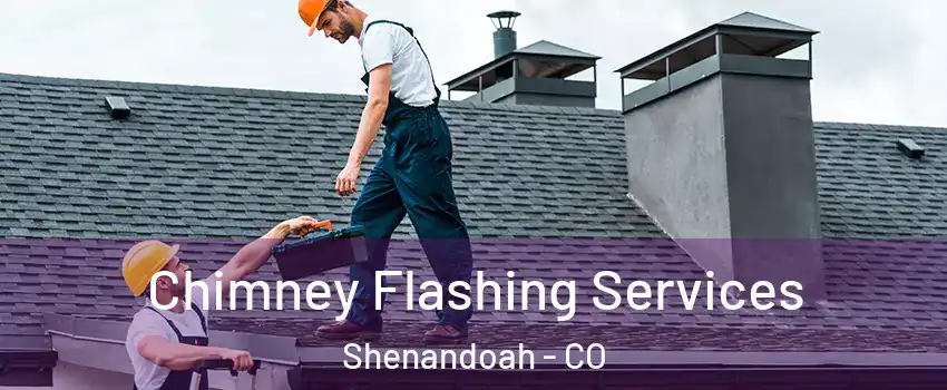 Chimney Flashing Services Shenandoah - CO