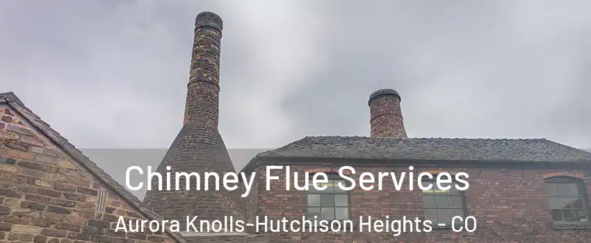 Chimney Flue Services Aurora Knolls-Hutchison Heights - CO