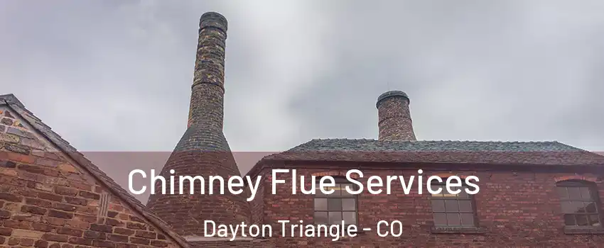 Chimney Flue Services Dayton Triangle - CO