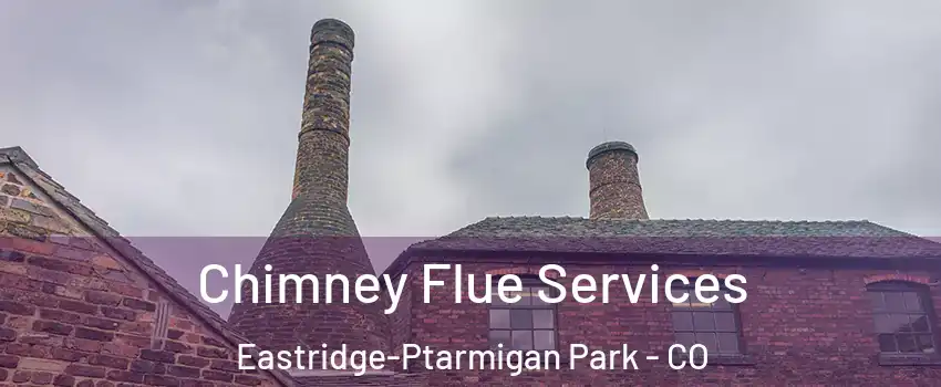 Chimney Flue Services Eastridge-Ptarmigan Park - CO