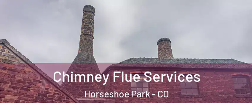 Chimney Flue Services Horseshoe Park - CO