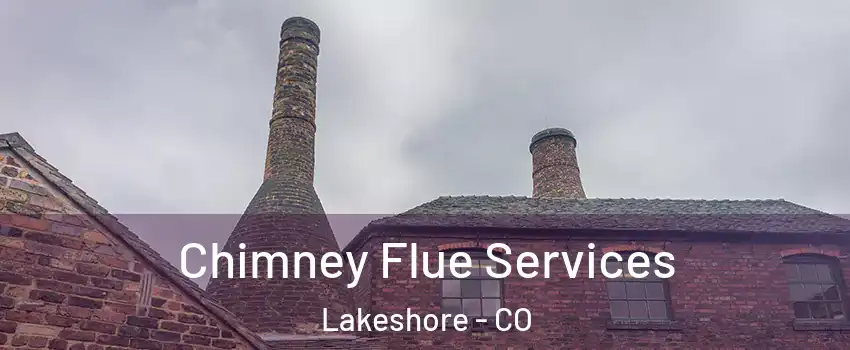 Chimney Flue Services Lakeshore - CO