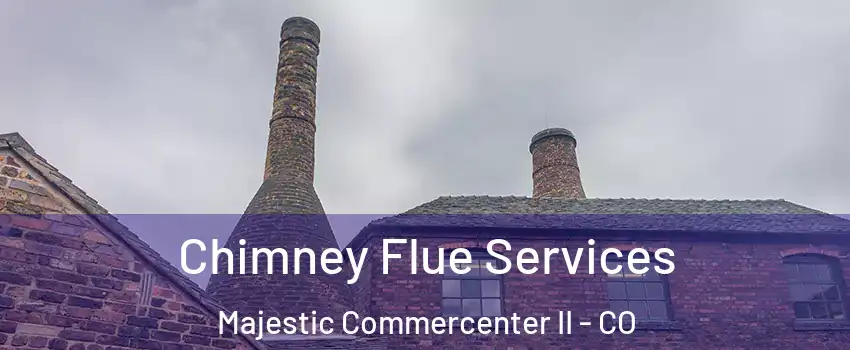 Chimney Flue Services Majestic Commercenter II - CO