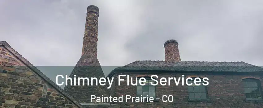 Chimney Flue Services Painted Prairie - CO