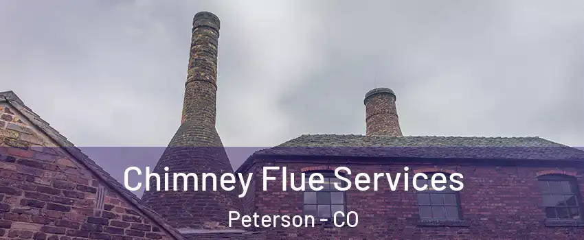 Chimney Flue Services Peterson - CO