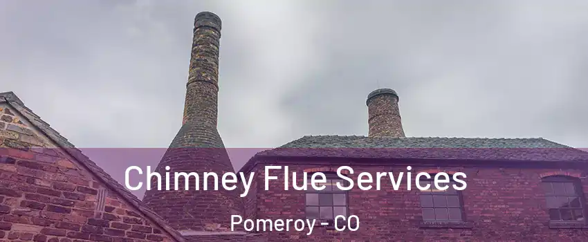 Chimney Flue Services Pomeroy - CO