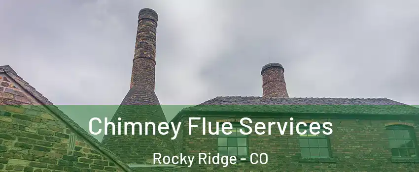 Chimney Flue Services Rocky Ridge - CO