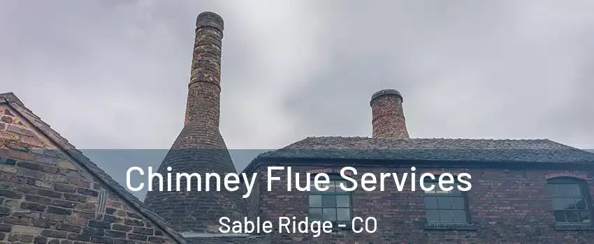 Chimney Flue Services Sable Ridge - CO