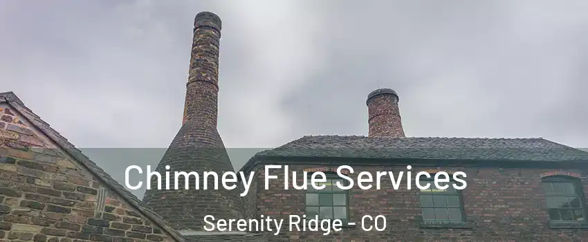 Chimney Flue Services Serenity Ridge - CO