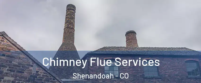 Chimney Flue Services Shenandoah - CO