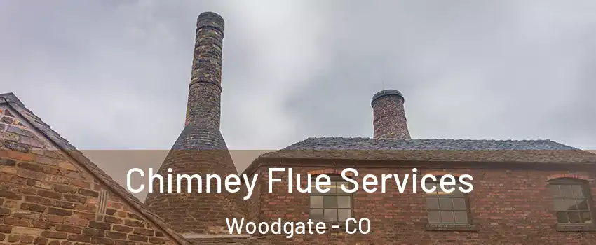 Chimney Flue Services Woodgate - CO