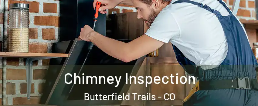 Chimney Inspection Butterfield Trails - CO