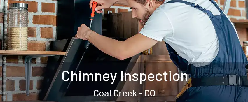 Chimney Inspection Coal Creek - CO