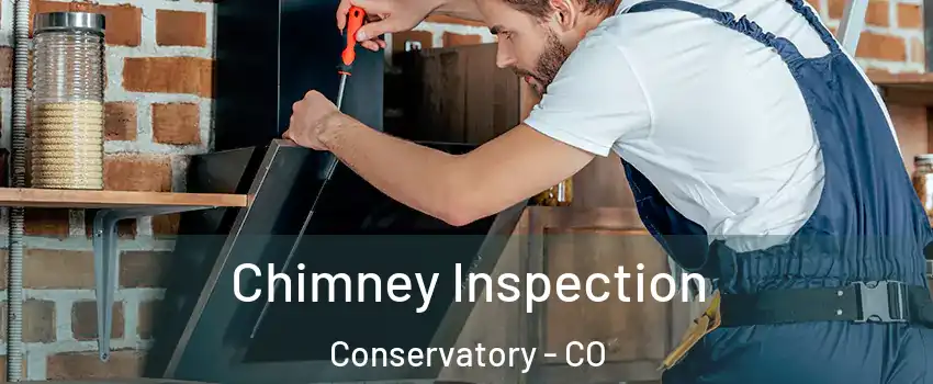 Chimney Inspection Conservatory - CO