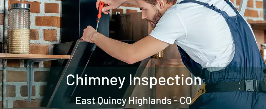 Chimney Inspection East Quincy Highlands - CO