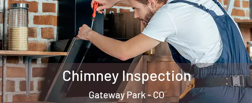 Chimney Inspection Gateway Park - CO