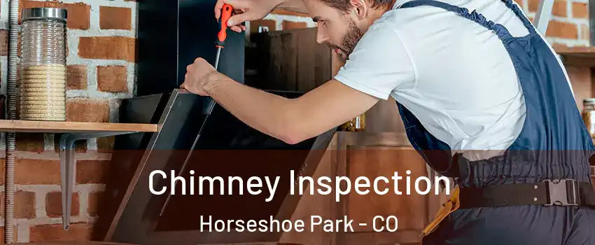 Chimney Inspection Horseshoe Park - CO