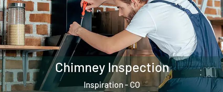 Chimney Inspection Inspiration - CO