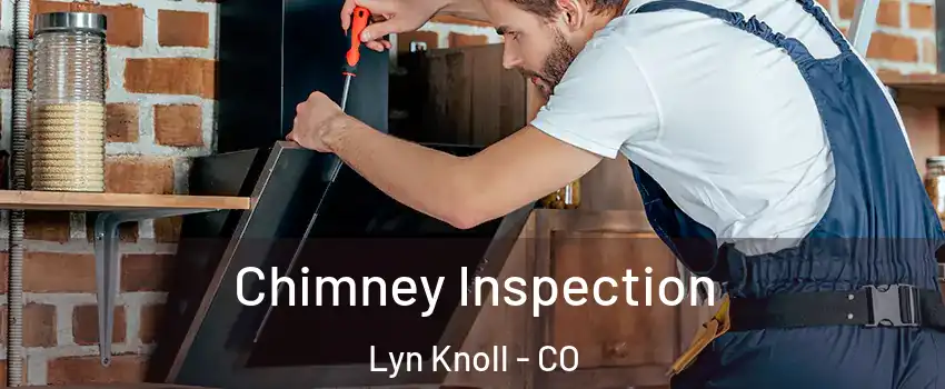 Chimney Inspection Lyn Knoll - CO