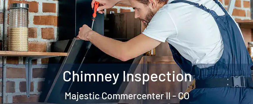 Chimney Inspection Majestic Commercenter II - CO